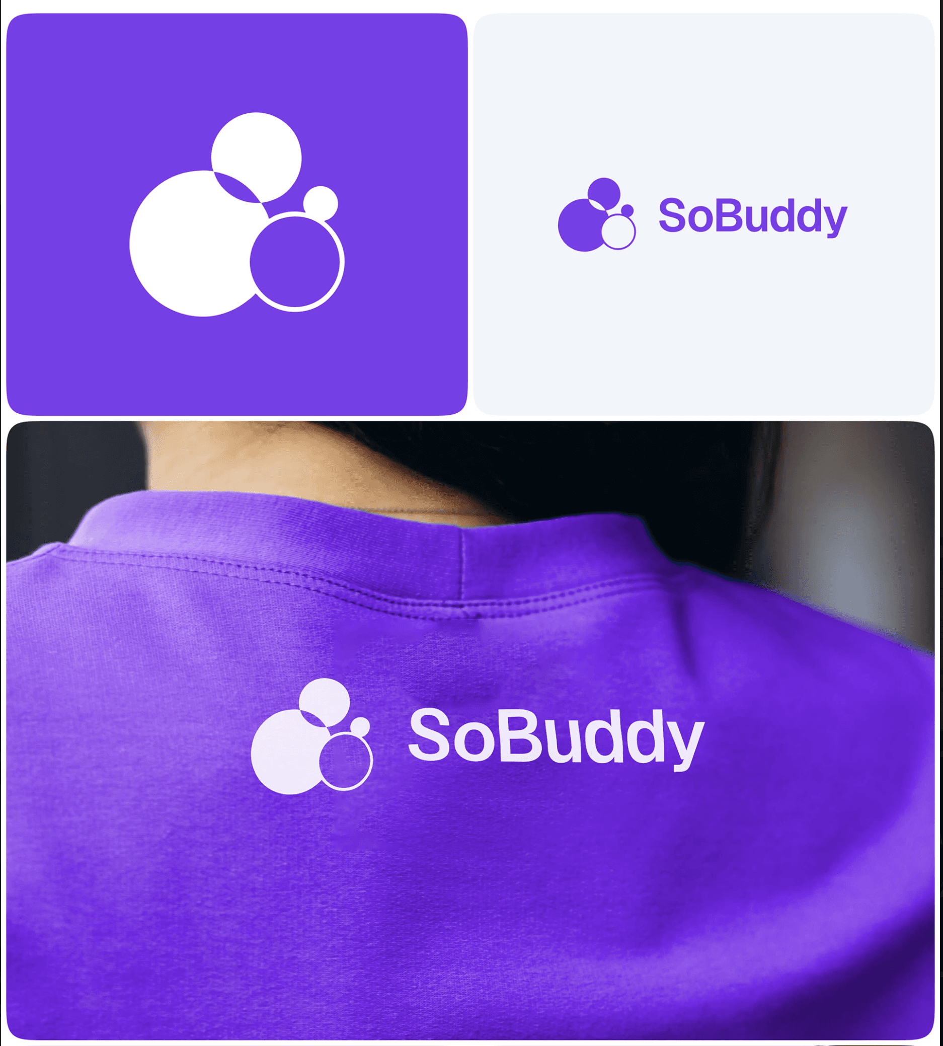 SoBuddy project frame 76