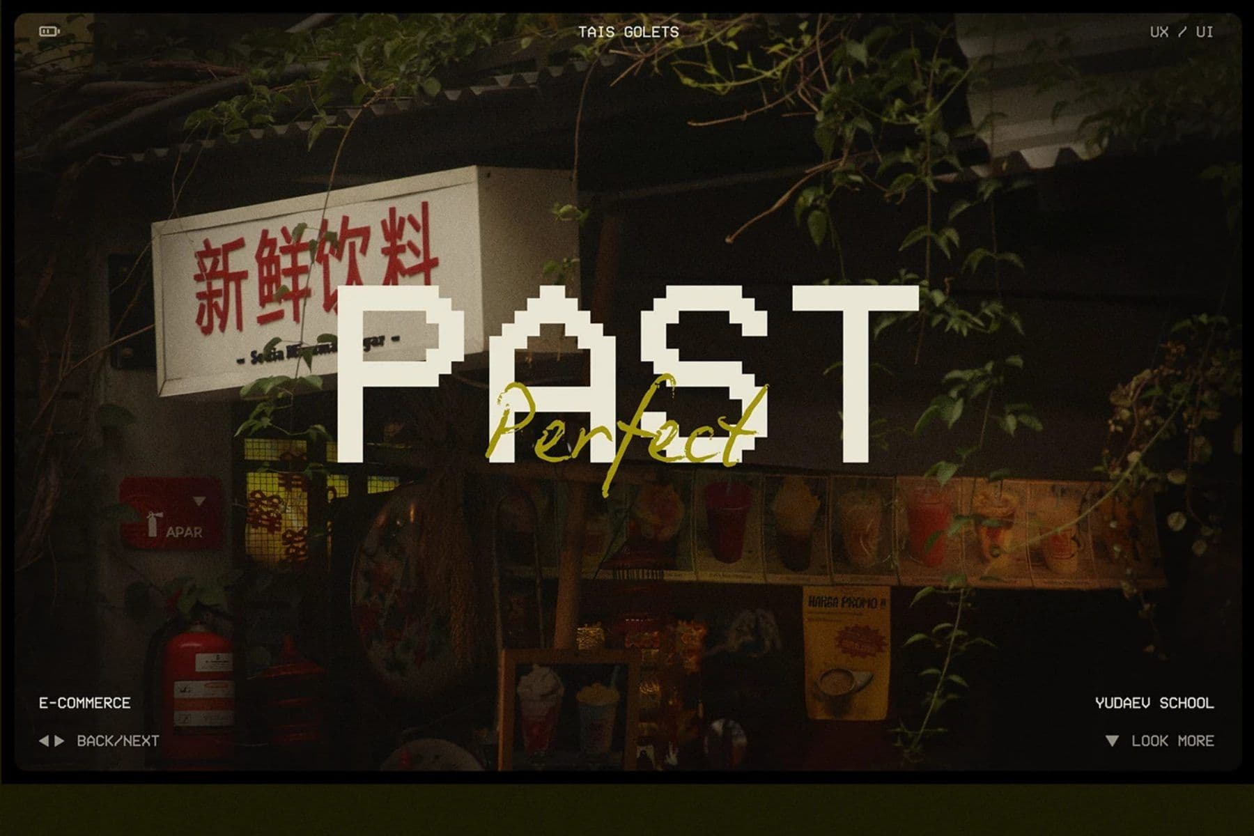 Past Perfect project visual