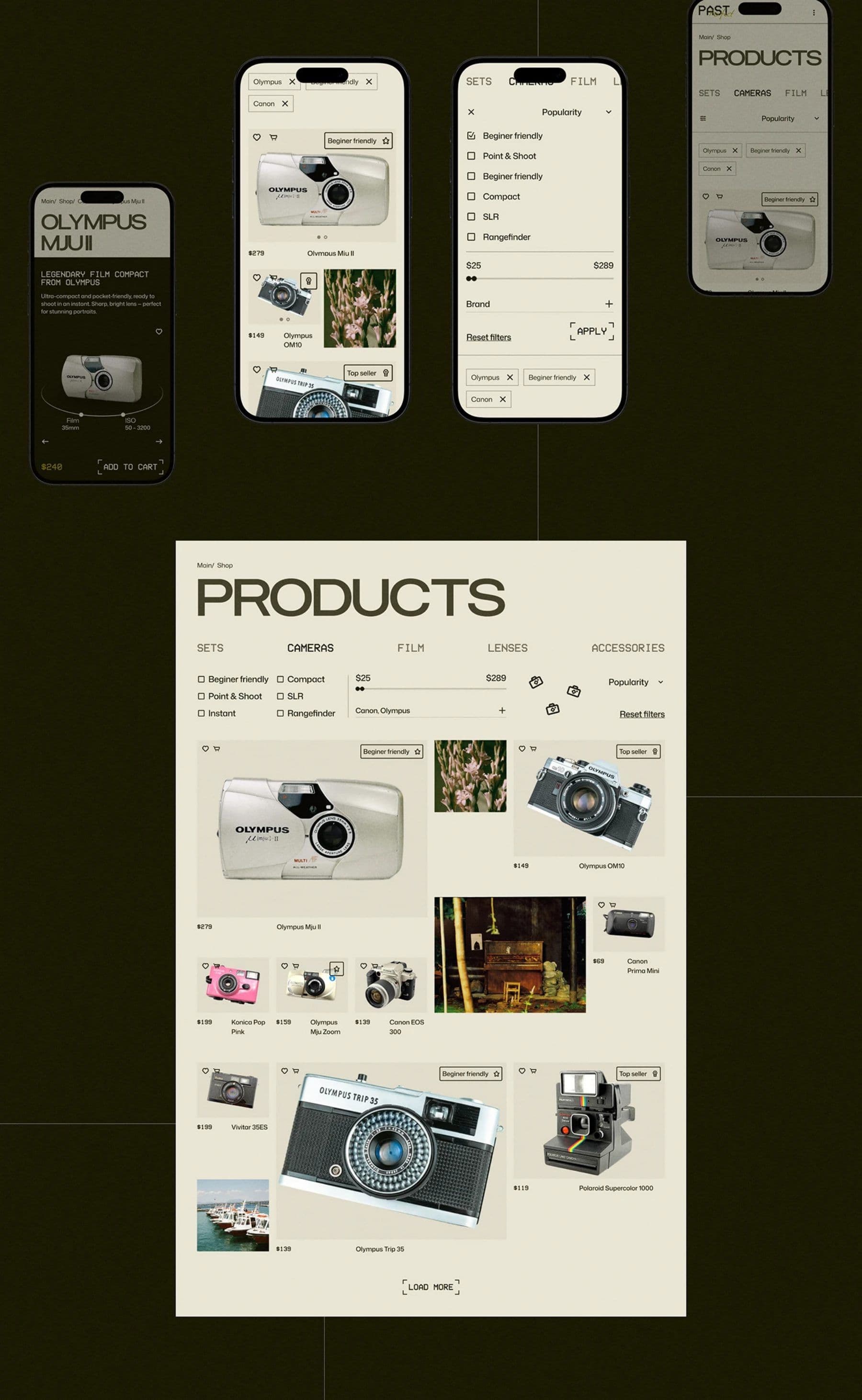 Past Perfect project frame 4